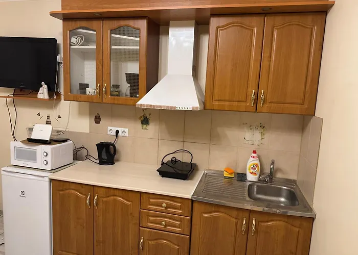 Private Solaris Viru Apartment *